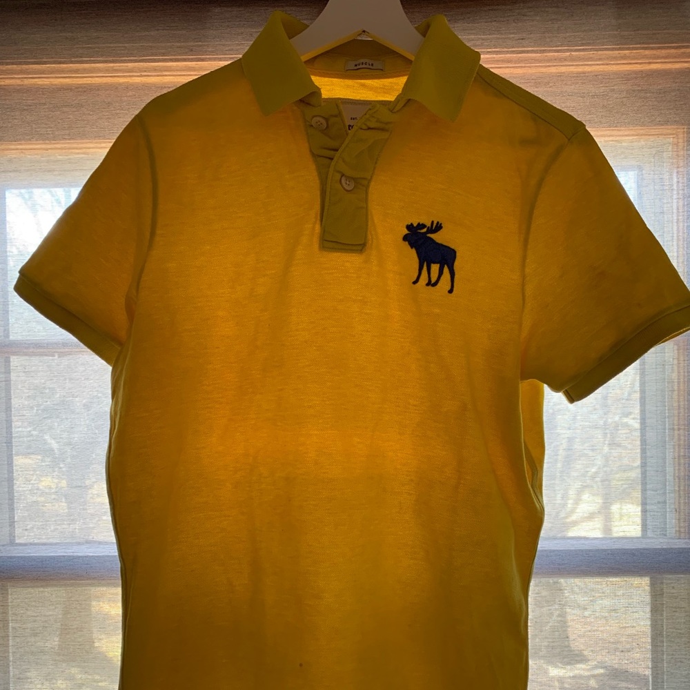 Abercrombie & Fitch Polo Tee Men’s Size Large